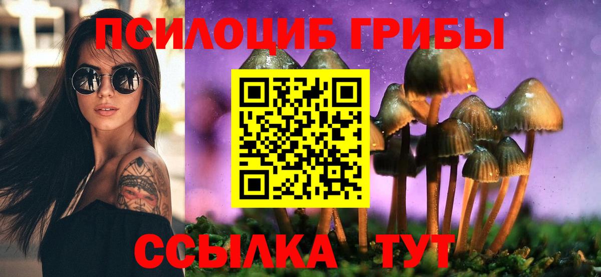 Галлюциногенные грибы Psilocybine cubensis Ангарск